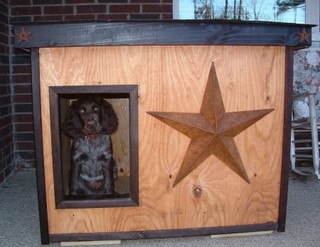 Cinco - Texas